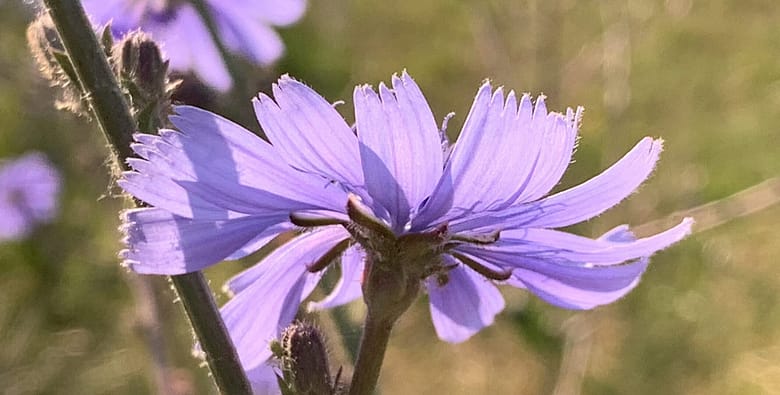 Christian Mörsch, "Schlummernde Träume" Schlummernde Träume