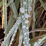 It's Alright, Ma It's alright, Ma! Gedicht.