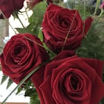 Bed of Roses Gedicht: Bed of Roses: Denk an dich. Dein Lachen, das meinem Leben Tiefe schenkt. Deine Augen voller Liebe.