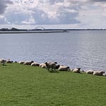 Lay your love on me Lay your love on me: Mit Gott ist es eine verzwickte Sache. Du musst ihn lieben, aber er macht es Dir nicht leicht. Seine Welt ist gründlich aus den Angeln geraten.