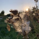 Staub Das Leben ist endlich und kurz, wir sind nur Staub im Wind. Und unsere Werke auf Erde auch. Was verleiht uns Dauer?