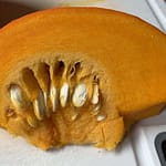 Herbstzeit Der Sommer geht nicht gerne, verhakt sich im Herbst. Trotz der Erntezeit bleiben die Scheuer leer, die Schützengräben sind blutig.