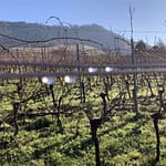 Soft Goodbye Manche Sätze lassen uns stürzen. Mit viel Glück fallen wir vom Seil hoch droben auf eine weiche Matte.