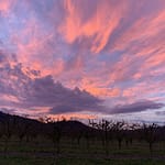 Steh hier Das wilde Spiel der Kinder, das geduldige Sterben der Alten, beides mit einem Blick erfasst. Beides zusammen macht das Leben erträglich.