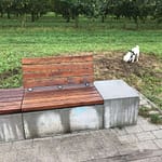 Die Bank Eine Bank an einem Wohngebiet, das langsam in den Himmel wächst. Eine Bank zum Feiern. Eine Bank zum Sterben.