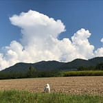 Skandal Wie sich ein Skandal doch wandelt. Der blaue Himmel etwa, Synonym einer Empörung aus Nichts heraus. Das hat sich geändert.