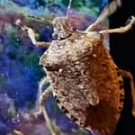 Liebe unbehaust Liebe kann man auf sehr unterschiedliche Weise sterben lassen. Du hast Dir einen außergewöhnlichen Weg dazu gesucht. Du opferst meine Liebe, nicht Deine.