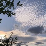 Puls der neuen Zeit Du brauchst die Geduld der Schildkröte, um deine neue Liebe zu finden. Vergiss nicht, auf deiner Sternenreise der Passagier zu sein.