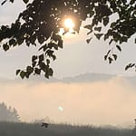 Der Sonne entgegen Manche Liebe lässt einem der Sonne zu nahe kommen. Die Träume vergehen darin, die Liebe wird zunehmend gefährlich.