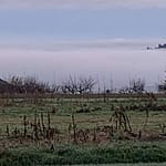 Alles ist besser als das Mit 200 Sachen durch den Nebel, das gelaicht mancher Liebe. Man ist versucht, bei 200 Sachen im Nebel auszusteigen, so belastend ist die Liebe.