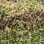 Dein Glück Wenn Du am Leben zu zerbrechen drohst, lächle. Schenke Dir ein Trotzdem und setze die Scherben deines Lebensspiegels neu und wild zusammen.