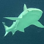 Naked Skin Naked skin: Wir sind nackt, unsere Haut hält das Böse nicht auf. Uns bleiben Illusionen und das nackte Grauen. Wehren wir uns klug.