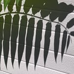 Glaub’ das nicht Erinnerungen können schmerzen, vor allem an eine Geliebte, die vor Jahren aus meinem Leben verschwand. Und nun ist sie tot.