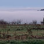 November Rain Die Natur stirbt, es ist grau, November, Regen. Nichts vermag uns vor der Depression zu schützen. Nur dieses eine Lächeln kann es.