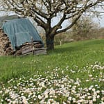 Böser Schatten Manchmal hilft Sanftmut gegen den wütenden Schmerz des Verlassenwerdens. Die große Liebe stirbt und ist nur ein böser Schatten.