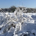 Remember Paradise Tanzende Ballerinen sind schön. Aber auch solche aus Schnee, am Ende der Welt. Hier zu sein fällt bei aller Schönheit des Schnees schwer.