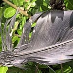 Schwarze Tage Gedicht: Alls schwarz? Oder noch schwärzer? Das Leben ist leer und sinnlos, Angst überall? Durchschreite den Nebel, küsse den Himmel, er rettet Dich.