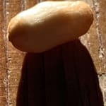 Schlaf gut Gedicht: Tief in den Schlaf versunken, erkenne ich die Weite von Kontinenten und die Enge eines Mäuselochs. Erinnerungen und Möglichkeiten umtanzen mich.