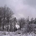 Huckepack Gedicht: Ich nehme die Liebe huckepack, die Du nicht willst und forme aus Wörtern, die Du verachtest, ein Gedicht. Mein eiskaltes Herz taut.