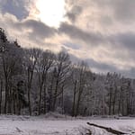 Liebe in der Bärenhöhle Gedicht: Ich hätte Dich gerne in meine Träume verwoben. Mit Dir einen kalten Winter in der warmen Bärenhöhle verbracht. Doch Du flohst auf der tönernen Sphinx.