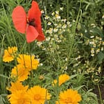 Gedicht: Manchmal reicht ein Lächeln, um uns dem Himmel nahe sein zu lassen. Wir sehen eine Zeit, in der wir verschmelzen werden. Das Lächeln kommt von Dir.