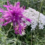 Rezension: Fantasy von ihrer besten Seite: Kerstin Surra, Katharina Ende, Amora, Die verlorene Stadt zeigt uns ein spannendes Abenteuer mit sympathischen Figuren.