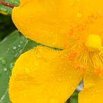 Gedicht: Was planen wir nicht alles im Leben. Und was passiert? Wenig, und wenn was geht, dann oft das Gegenteil oder zumindest was ganz anderes als geplant.