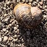 Hier kommt Dein No-Haiku: Auto Gedicht: Schnell, so ein Auto, atemberaubend, trägt uns pfeilschnell von einem Ort zum anderen. Meistens jedenfalls. Doch viel schneller sind meine Gedanken.