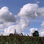 Gedicht: Träume sind nicht nur Schäume, sie gaukeln uns aber manchmal Wunschbilder vor. Könnte schön ein, wenn die Wunschbilder nicht ab und zu hängen blieben.