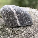 No-Haiku: Unerwartet Gedicht: Wir erwarten sie nicht, dann ist sie da. Verwöhnt uns mit ihrer Gegenwart, mit Liebe. Und dann wissen wir: Sie darf nie wieder gehen.