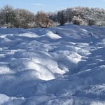 Gedicht: Wenn meine Liebe in deinem Herzen nistet, dann erfriert der Winter. Das Leben wird rund und vollständig, und wir sind eins.