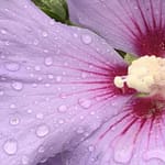 Gedicht: Was glaubst Du? An die Liebe, dass sie eines Tages zu Dir kommt? Das ist tapfer, betrachten wir, in welcher Welt wir uns befinden...