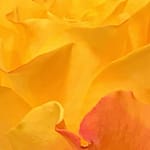 Gedicht: Erinnerungen an Dich, Deiån Todestag. Unserer Leben trug einen Spalt, wir fanden nie so richtig zusammen. Vielleicht werden wir uns gerade deshalb wiedersehen.