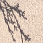 Gedicht: Hilft das Herz? Wenn wir uns öde und ausgebrannt fühlen? Ja. Wir sollten auf unser Herz hören, nachspüren, was es uns sagen will.