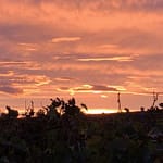 No-Haiku: Gerippe Schwarz Gedicht: Warum so traurig? Nur, weil es trist ist um dich herum? Das ist kein Grund. Und auch nicht, dass die Sonne dir gerade nicht scheint. Das vergeht, alles wird gut.