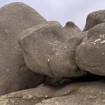 Du ruhst in dir, Stein, liegst scheinbar unbeteiligt auf unserer hektischen Welt. Nichts bringt dich aus der Ruhe. Ich möchte sein wie du, aber ich muss weiter, muss weiter, muss fliegen.