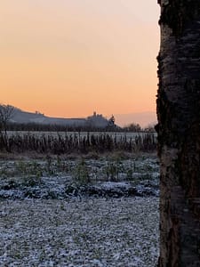 Abenteuerliche Geschichte des Drachenmaedchens Abenteuerliche Geschichte des Drachenmädchens. Satire VON KLAUS KRÜGER