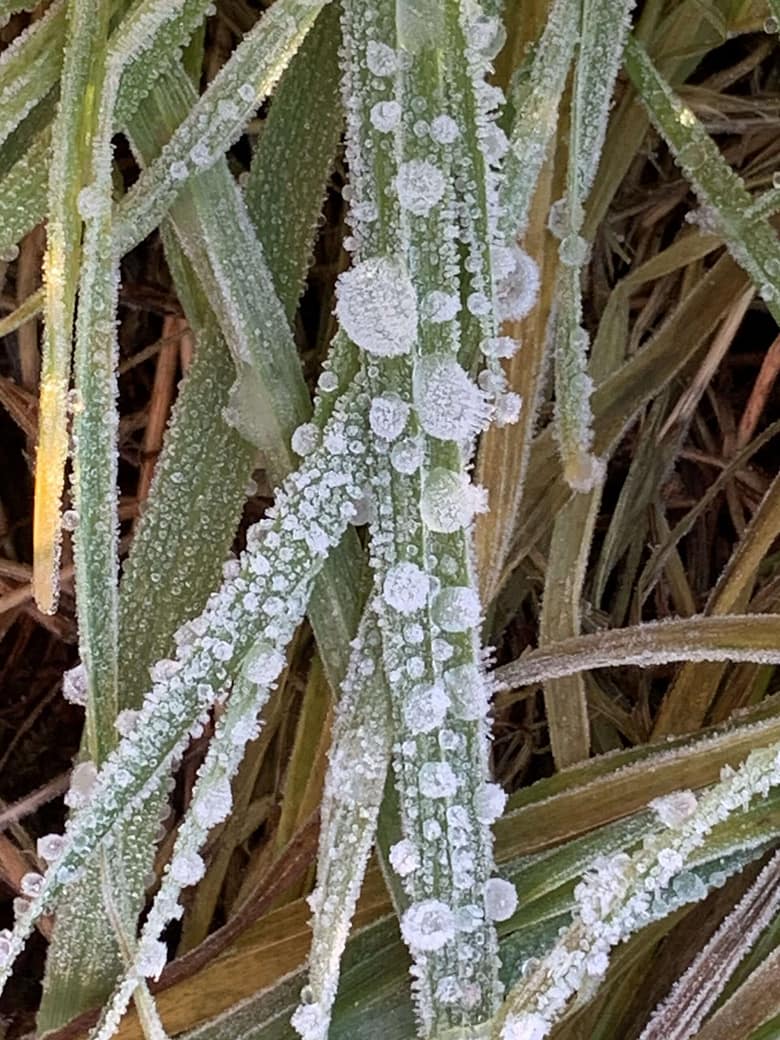 It's alright, Ma! Gedicht.