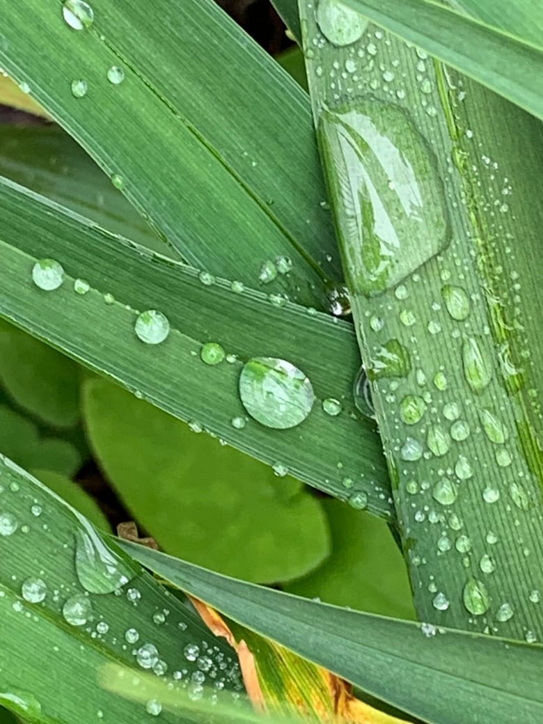 Sieben schwarze Jahre Das Glück zerschellt an einer Wand aus Dummheit. Jetzt folgen sieben Jahre Pech. Fragt sich, was jetzt zu tun ist, fragt sich RoBa.