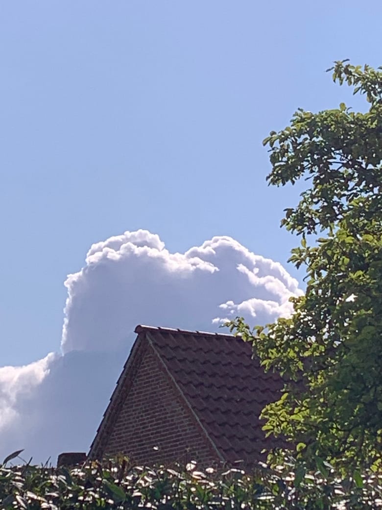 Überleben Du weißt, wer Du bist? Sag es dreimal. Ansonsten folge der Spur der Wölfe und schwimme gegen den Strom der Zeit. So wirst Du stark werden.