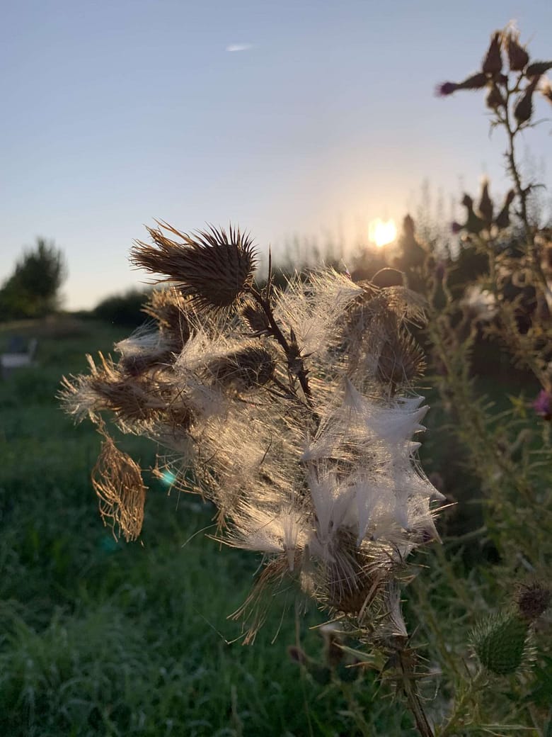 Staub Das Leben ist endlich und kurz, wir sind nur Staub im Wind. Und unsere Werke auf Erde auch. Was verleiht uns Dauer?