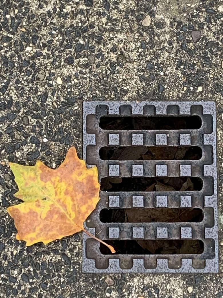 Herbst Haiku Wenn alles bröckelt, was können wir vom Herbst erwarten? Die Sonne ist da, aber sie beleuchtet wenig Appetitliches. Was also bringt der Hebst?