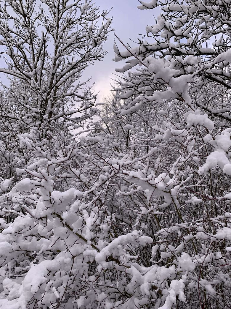 Gedicht: Die Zuversicht hat mich fallen lassen, jäh, unerwartet, ich bin aus den Wolken gefallen und warte auf den Frost, der herankriecht.