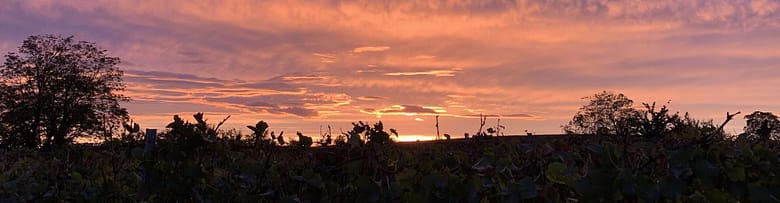 No-Haiku: Gerippe Schwarz Gedicht: Warum so traurig? Nur, weil es trist ist um dich herum? Das ist kein Grund. Und auch nicht, dass die Sonne dir gerade nicht scheint. Das vergeht, alles wird gut.