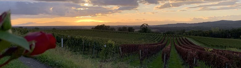 No-Haiku: Eure Fratzen Gedicht: Das Erwachen aus süßem Schlaf ist manchmal schmerzhaft und brutal. Da helfen auch die Träume nichts, die man vorher hatte.