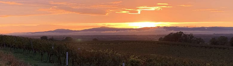 No-Haiku: Mörder Gedicht: Die Mörder in den Palästen sind ans Ende ihrer Zeit gelangt. Vertreibt sie aus ihrer sicheren Burg, die keine ist, jagt sie zum Teufel. Die Zeit gehört euch.
