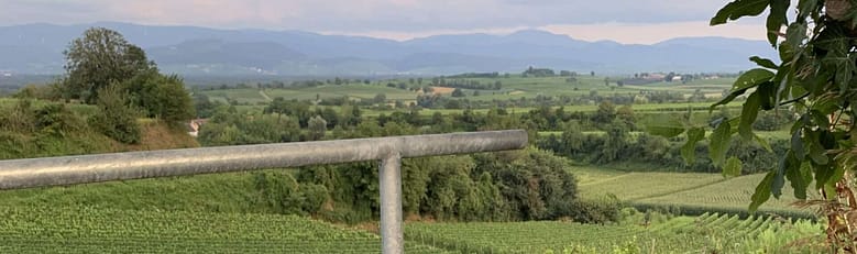 No-Haiku: Himmelsliege Gedicht: Traumorte: Die Himmelsliege über den Reben. Hier liegen wir, kuscheln und schauen in den Schwarzwald hinein. Hier sind wir zu Hause.