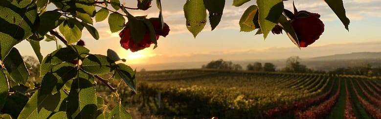 No-Haiku: Wärme Gedicht: Gegen die Kälte des Winters hilft Liebe. Vielleicht trifft sie uns unerwartet, auf jeden Fall aber wärmt sie uns. Wie der Frühling.