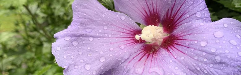 No-Haiku: Believe Gedicht: Was glaubst Du? An die Liebe, dass sie eines Tages zu Dir kommt? Das ist tapfer, betrachten wir, in welcher Welt wir uns befinden...