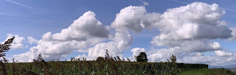 No-Haiku: Hab Geträumt Gedicht: Träume sind nicht nur Schäume, sie gaukeln uns aber manchmal Wunschbilder vor. Könnte schön ein, wenn die Wunschbilder nicht ab und zu hängen blieben.